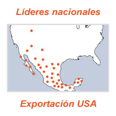 Exportación USA